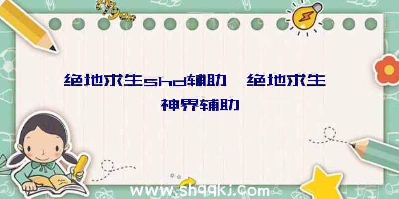 绝地求生shd辅助、绝地求生